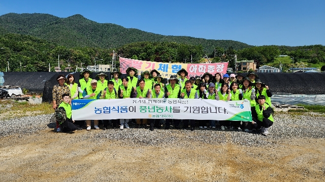 24년 상반기 농촌일손돕기 대표 이미지