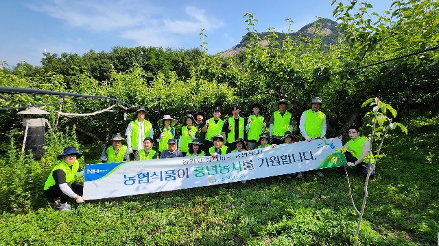 농협식품, 범농협 한마음 농촌 일손돕기 동참 대표 이미지