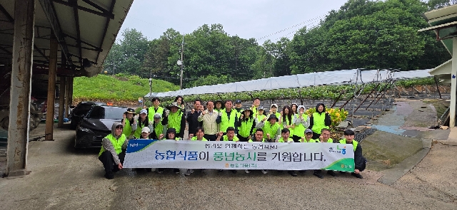 '26년 농협식품 파주시 관내 포도농가 농촌 일손돕기 실시 대표 이미지